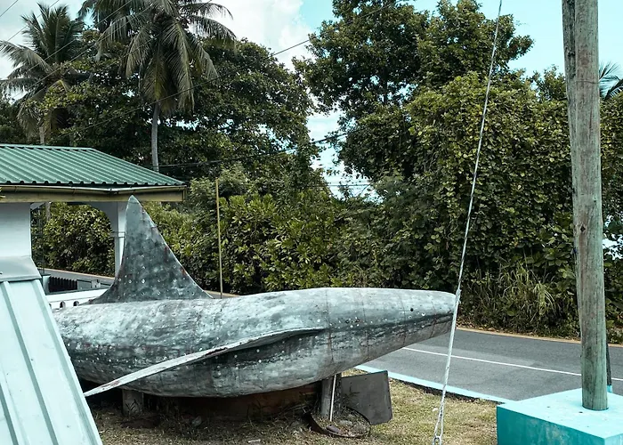 Divers Bed & Breakfast Beau Vallon (Mahe)