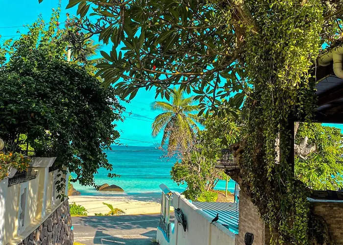 Divers Beau Vallon (Mahe)