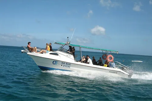 Bed & Breakfast Divers 3*